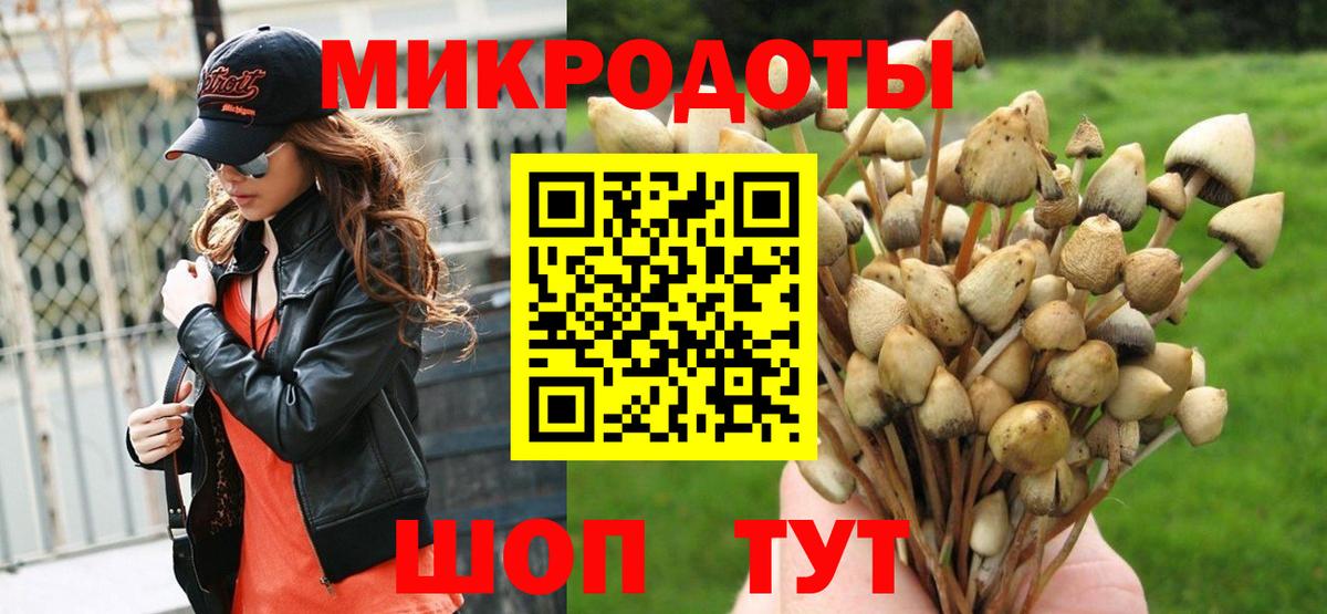 Галлюциногенные грибы мухоморы Курчатов